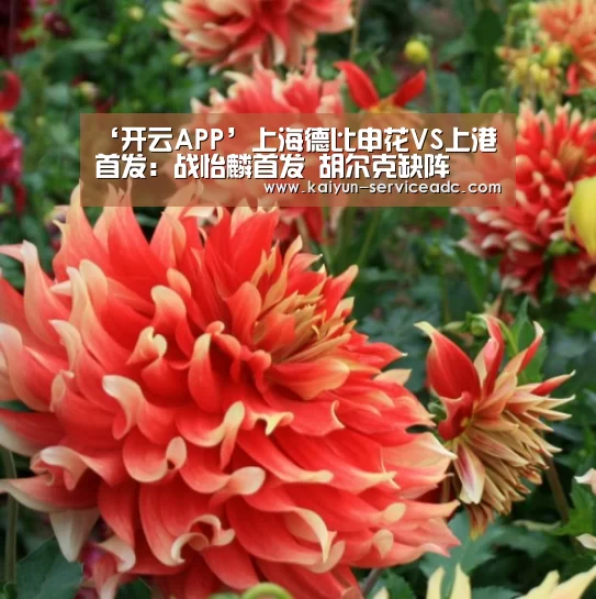开云APP