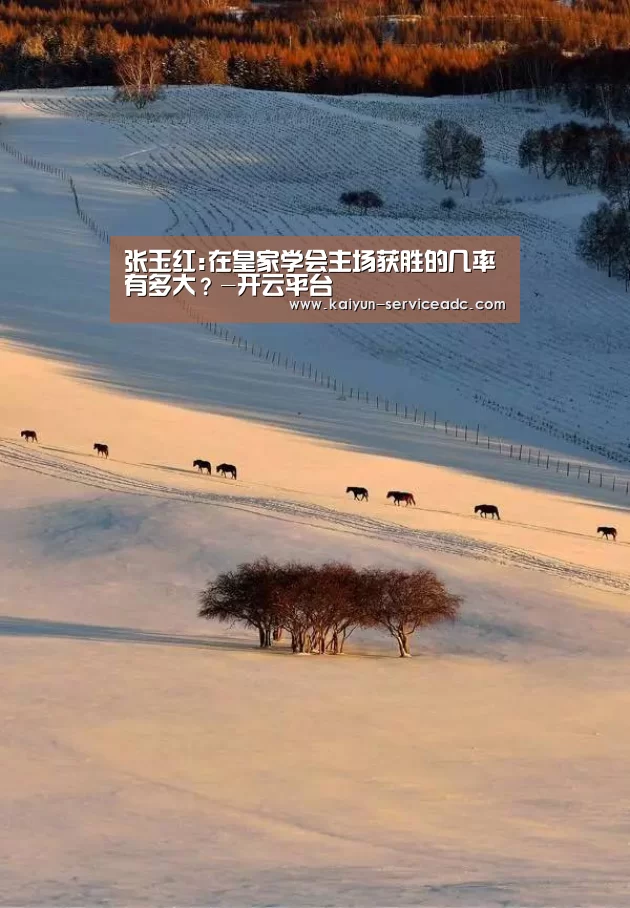 开云